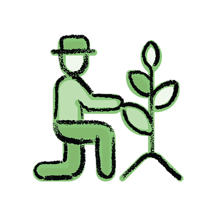 utilisation_web utilisation du biochar suisse