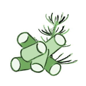 Pellets de prêle 700 gr