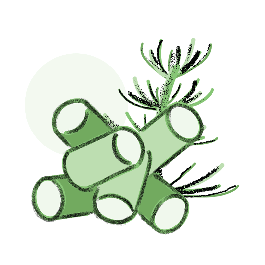 pellets_prele_2