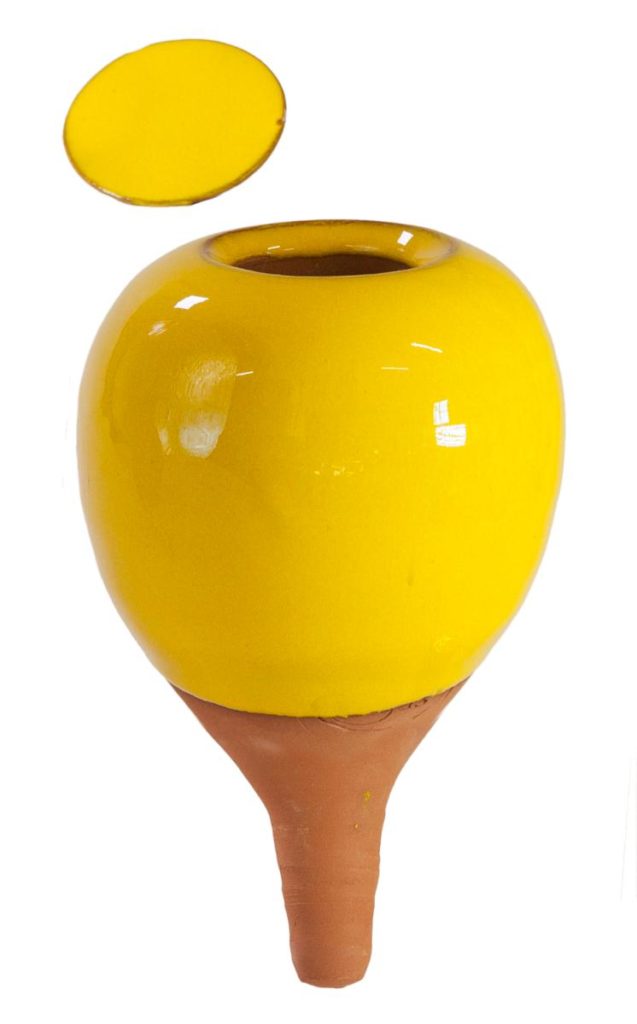 Oyas à planter jaune