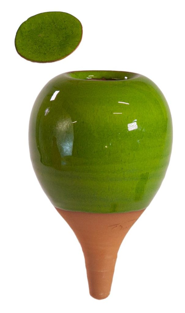 Oyas à planter vert