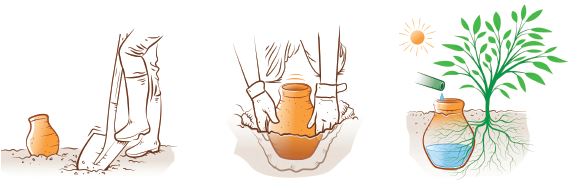 schéma oyas à enterrer