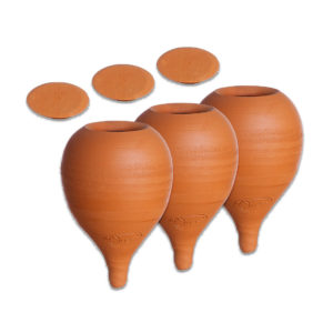 Oyas à planter mini naturelles