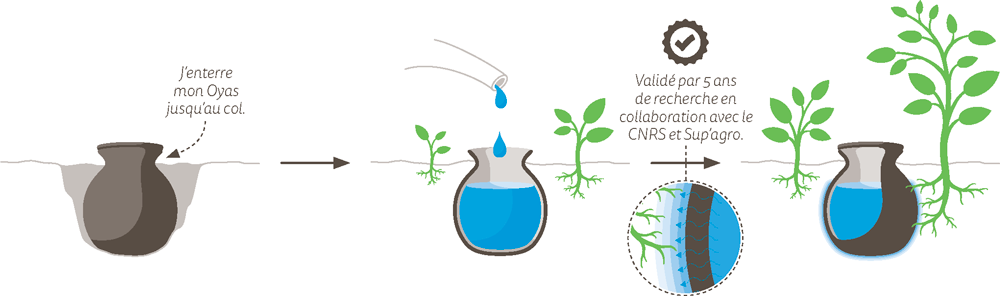 oyas_irrigation_schema schéma d'irrigation oyas et ollas
